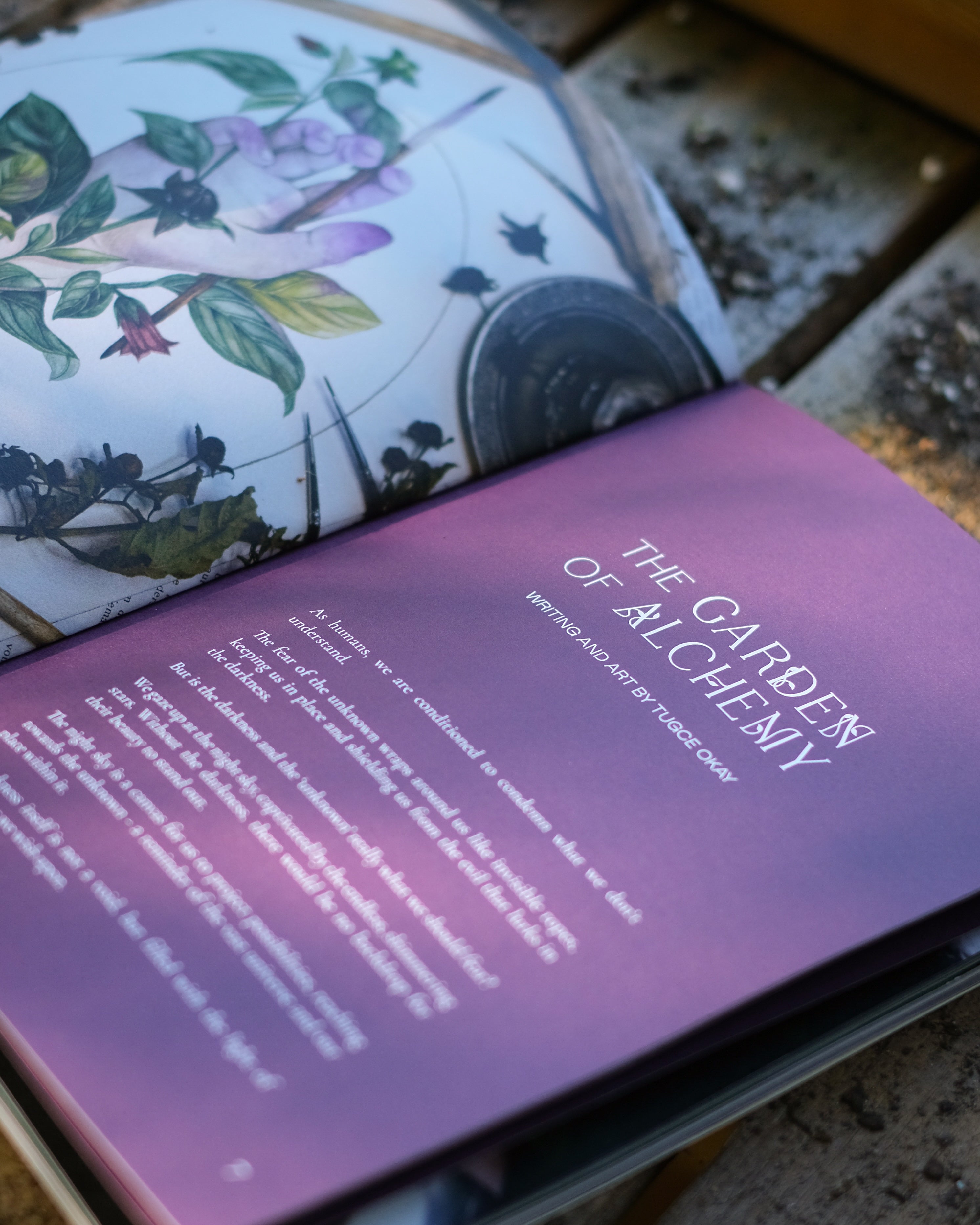 Poison Garden Issue 2: Belladonna