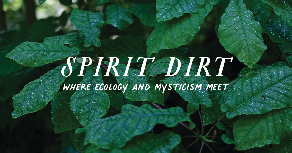Spirit Dirt