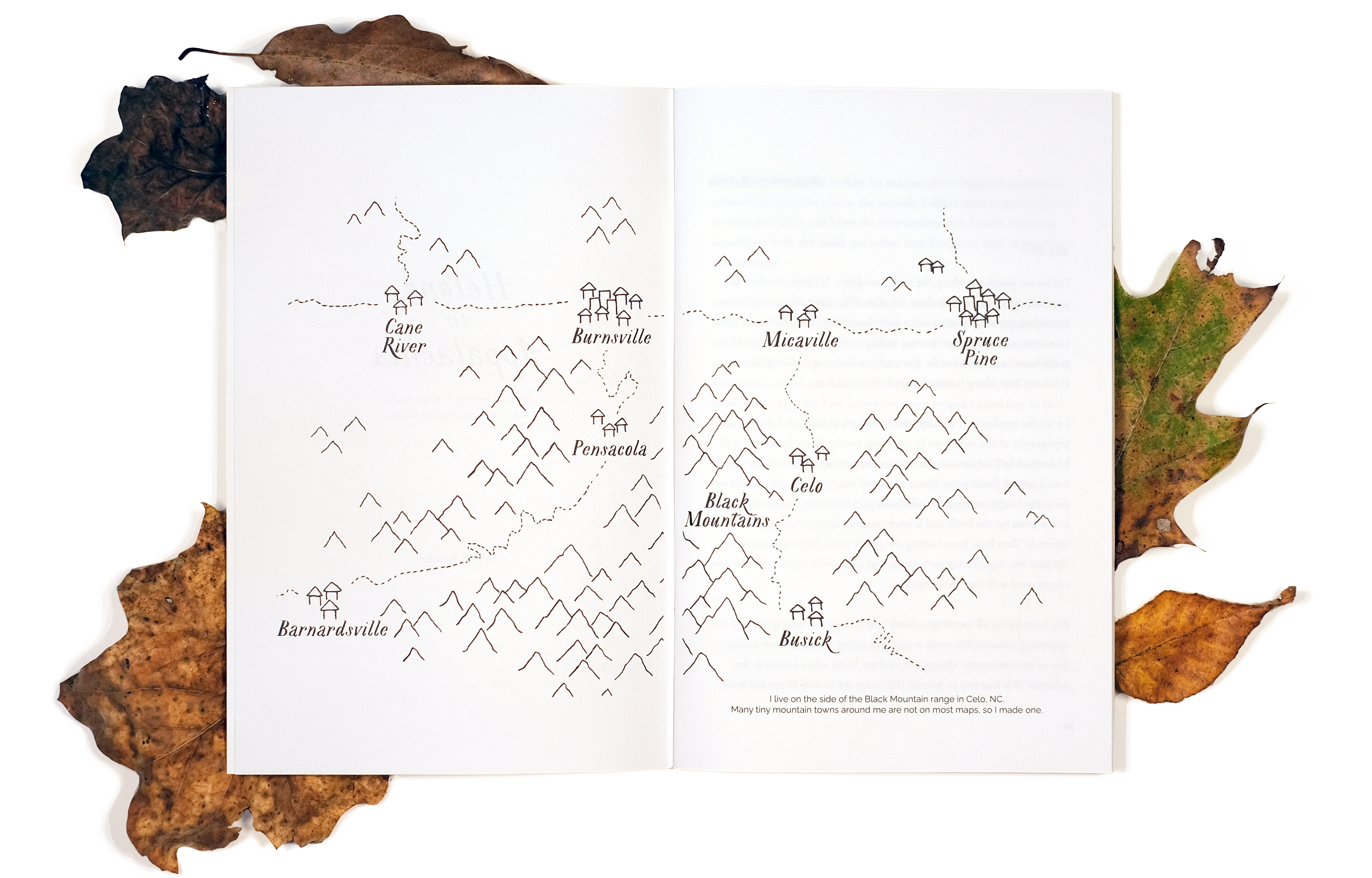 Helene in Appalachia