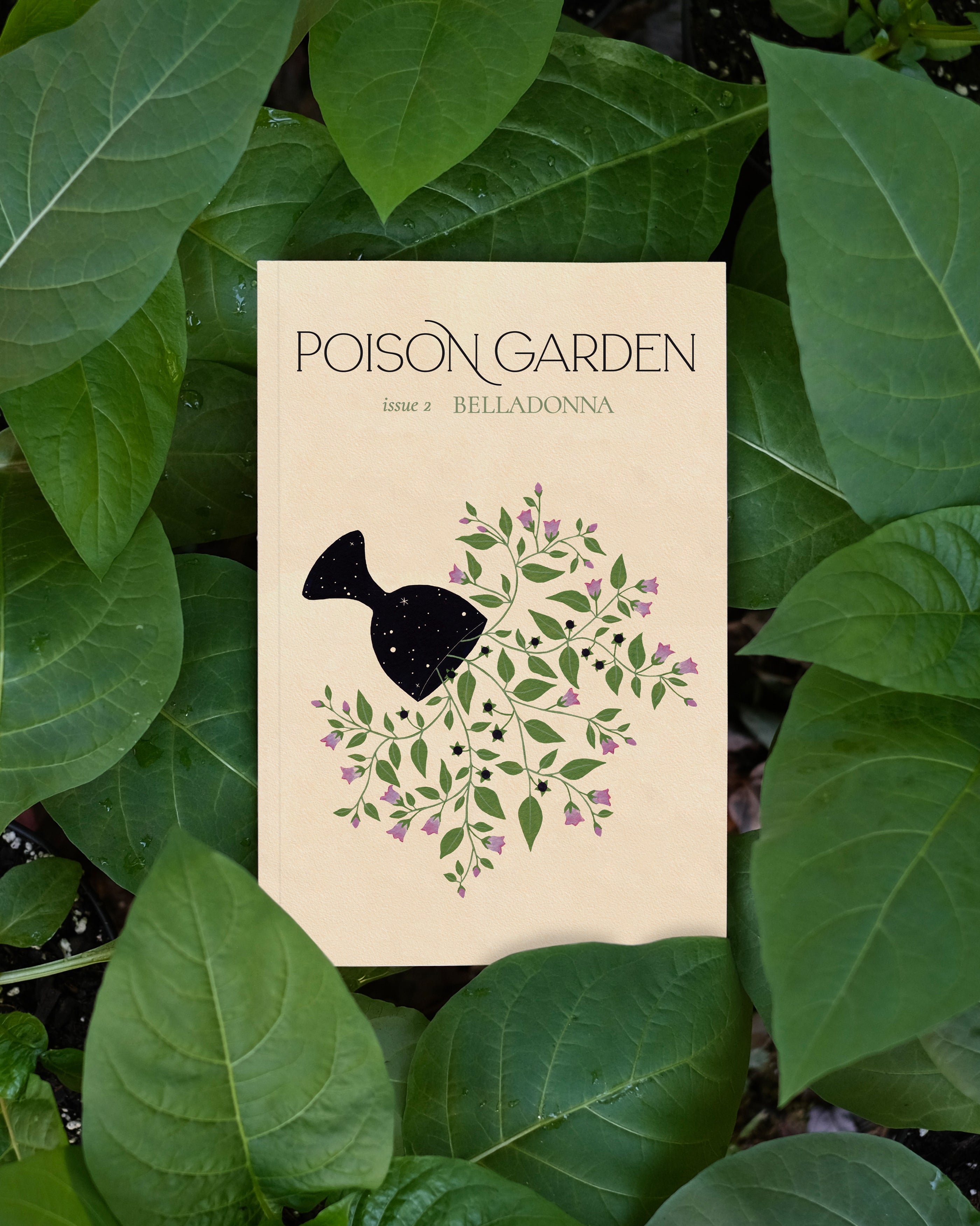 Poison Garden Issue 2: Belladonna