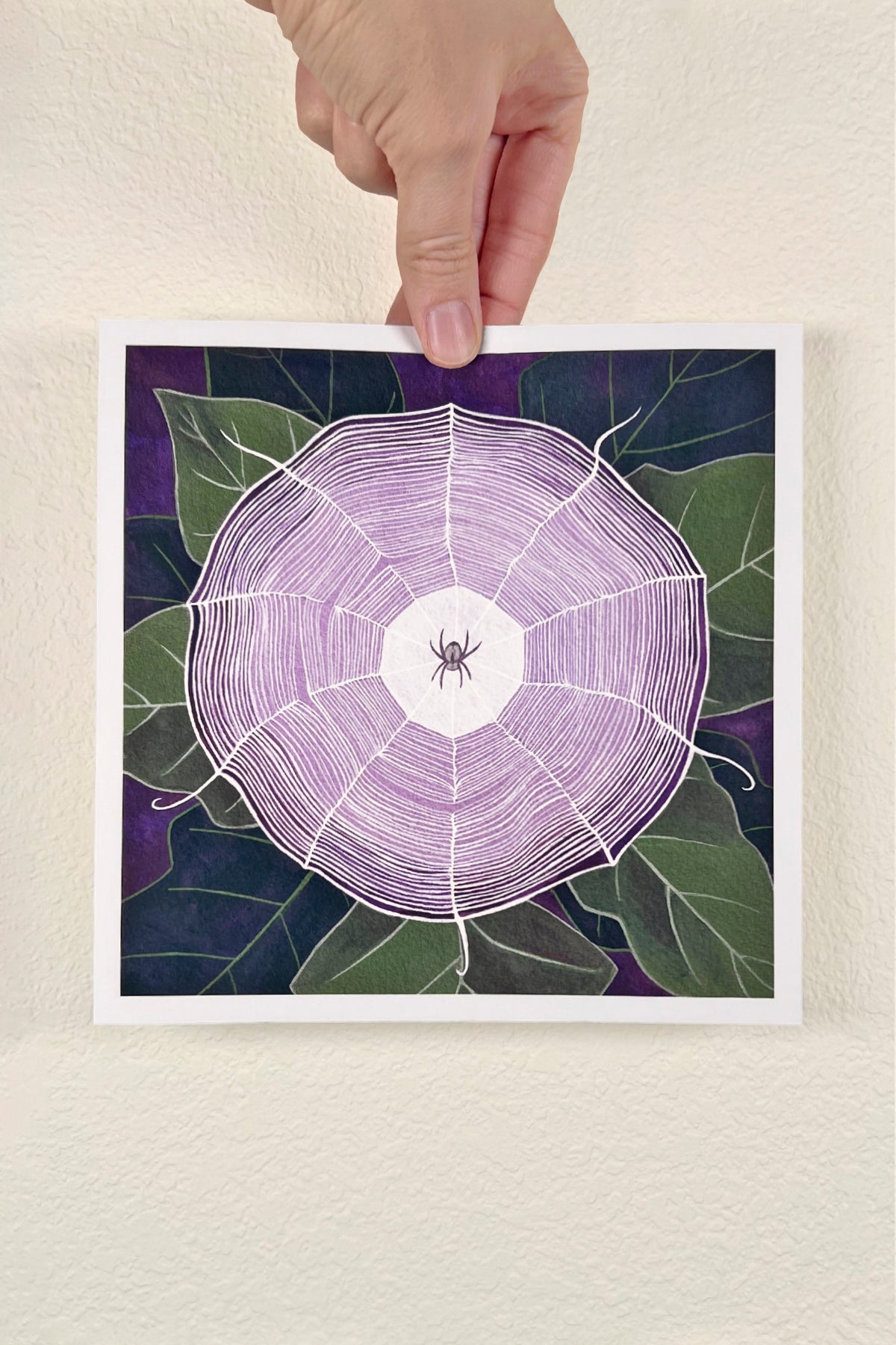 Datura Web Print