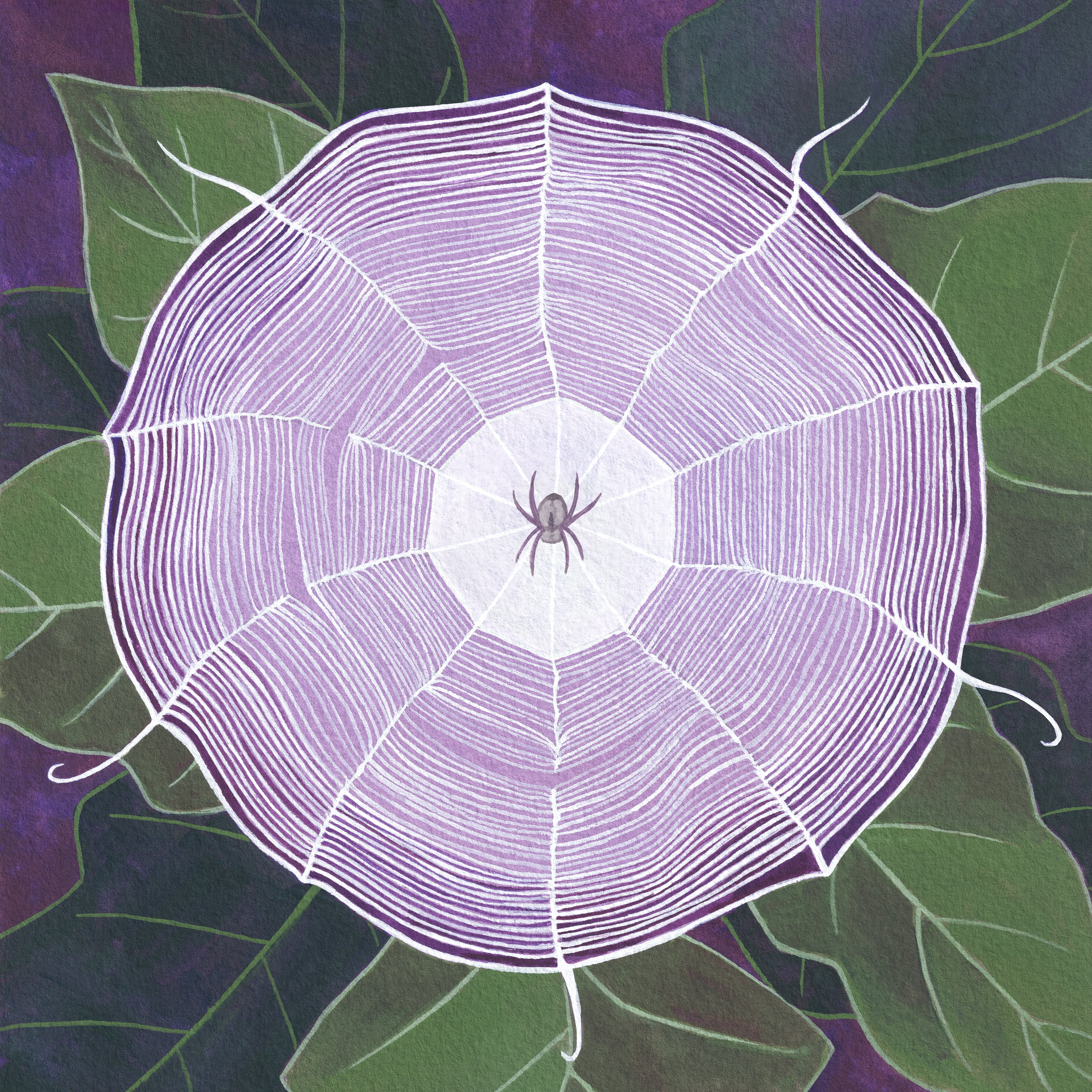 Datura Web Giclée Print