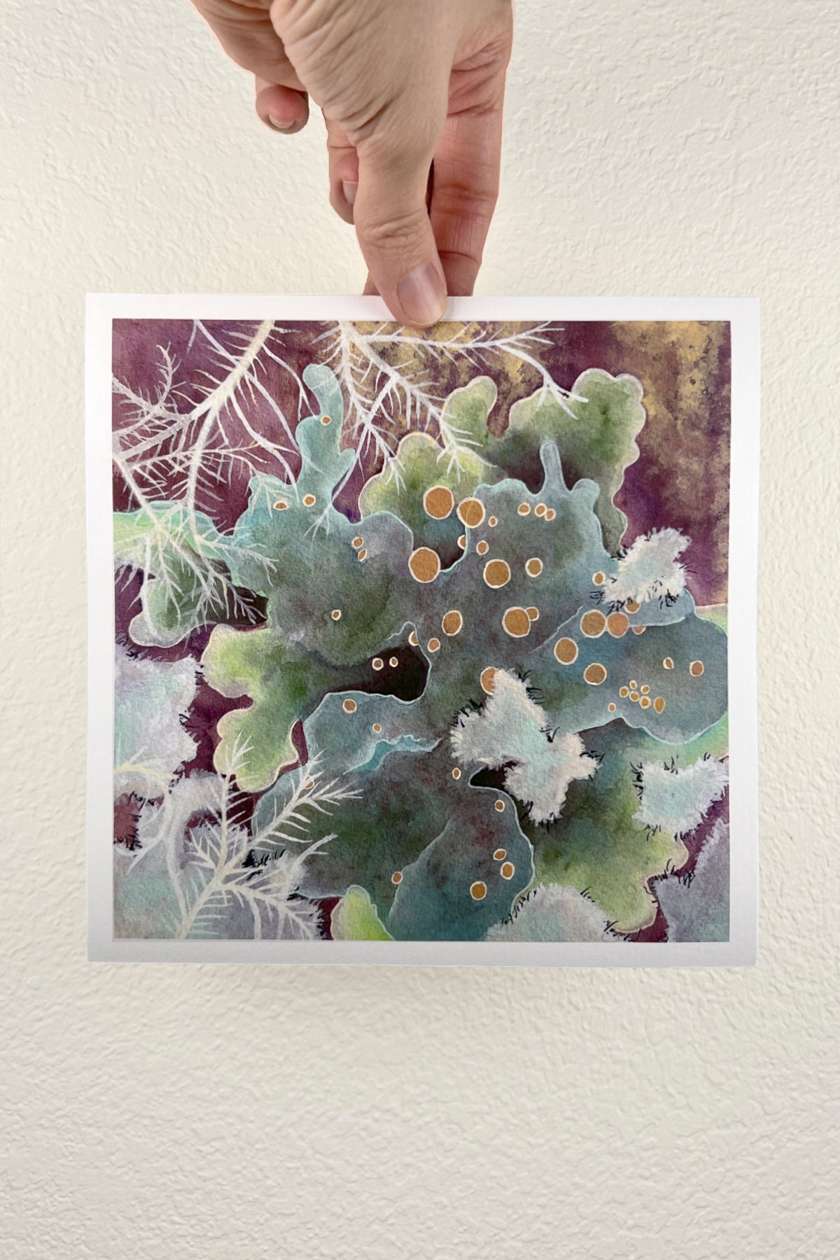 Lichen Print