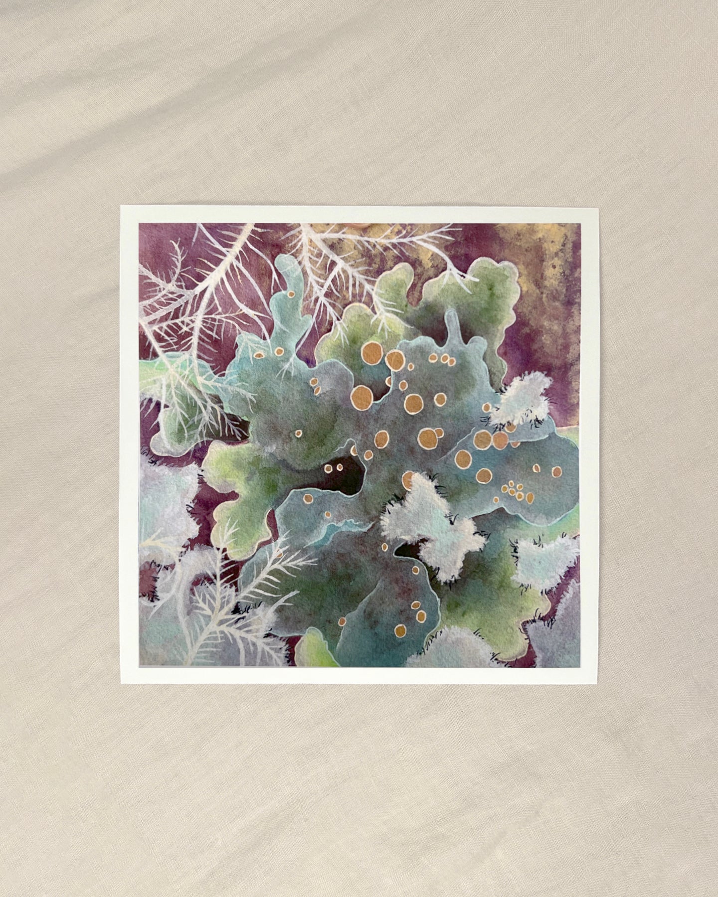 Lichen Giclée Print