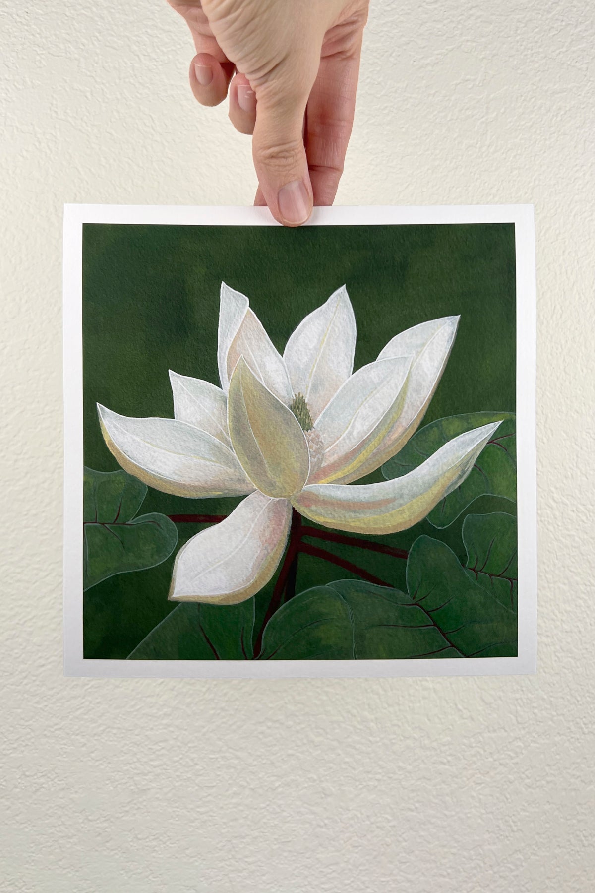 Mountain Magnolia Print