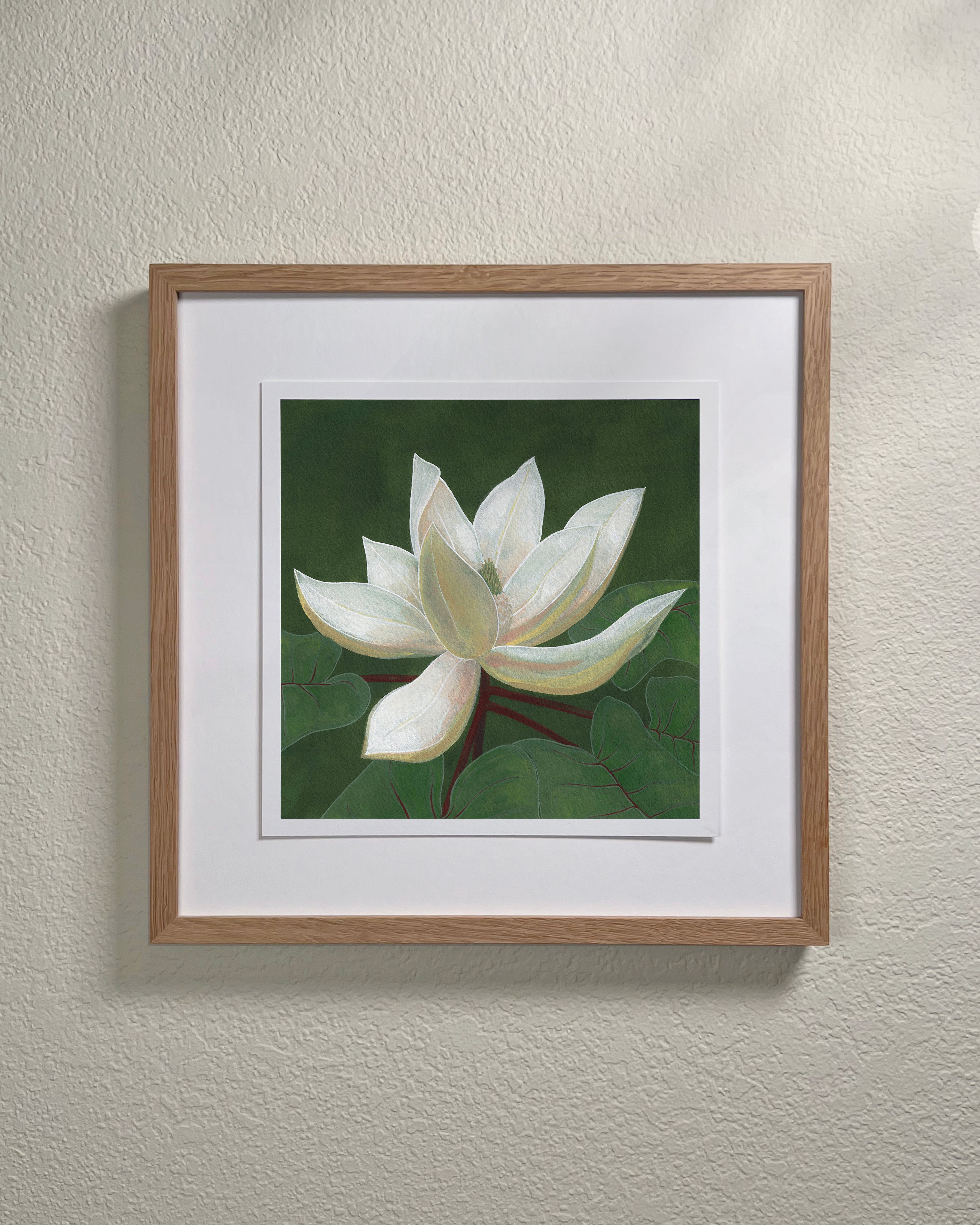 Mountain Magnolia Giclée Print