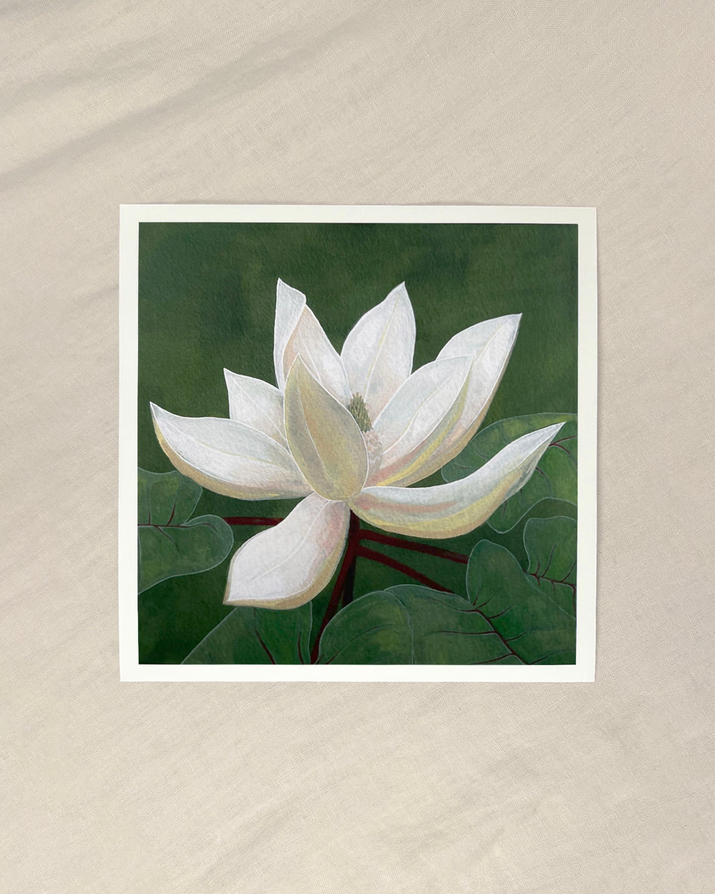 Mountain Magnolia Giclée Print