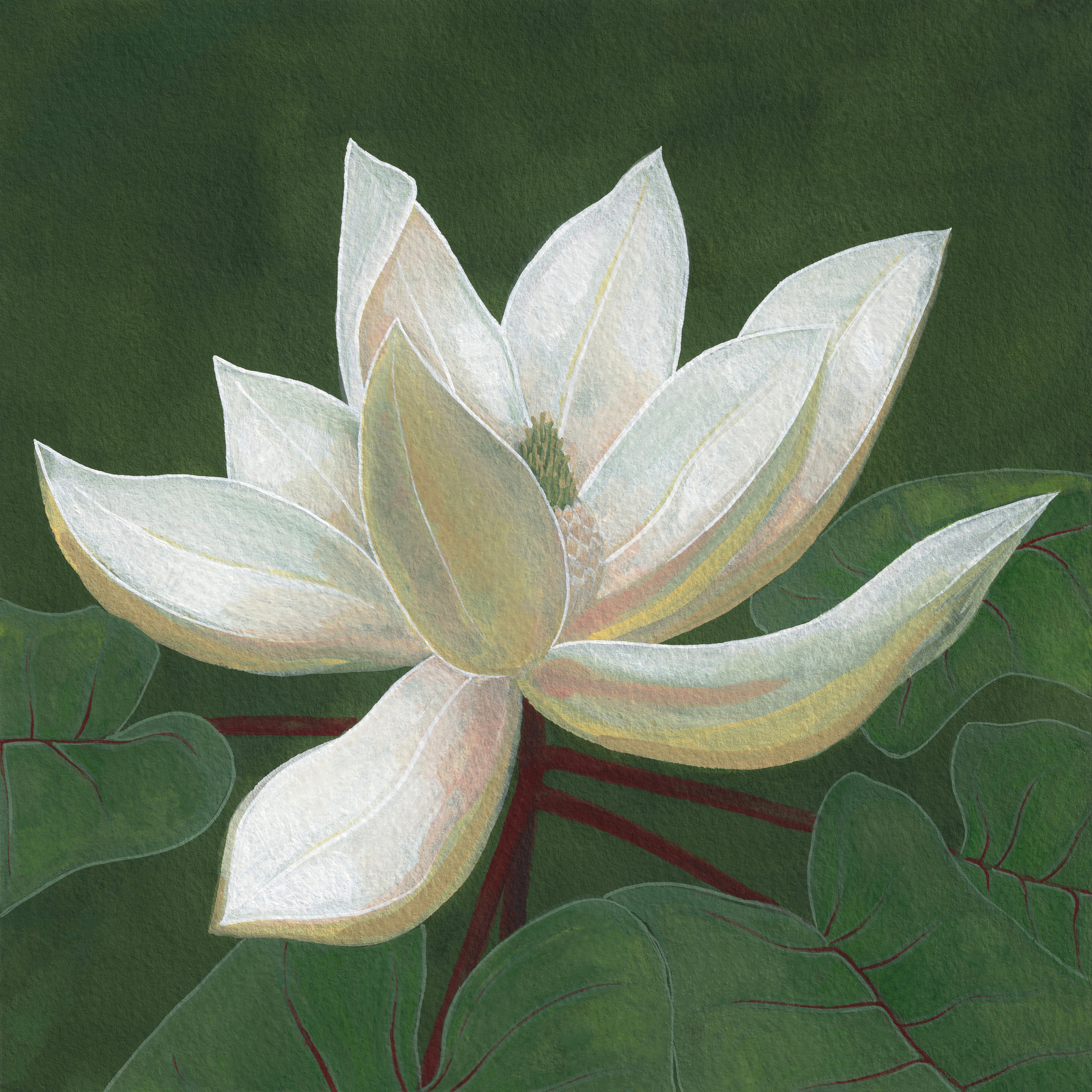 Mountain Magnolia Giclée Print