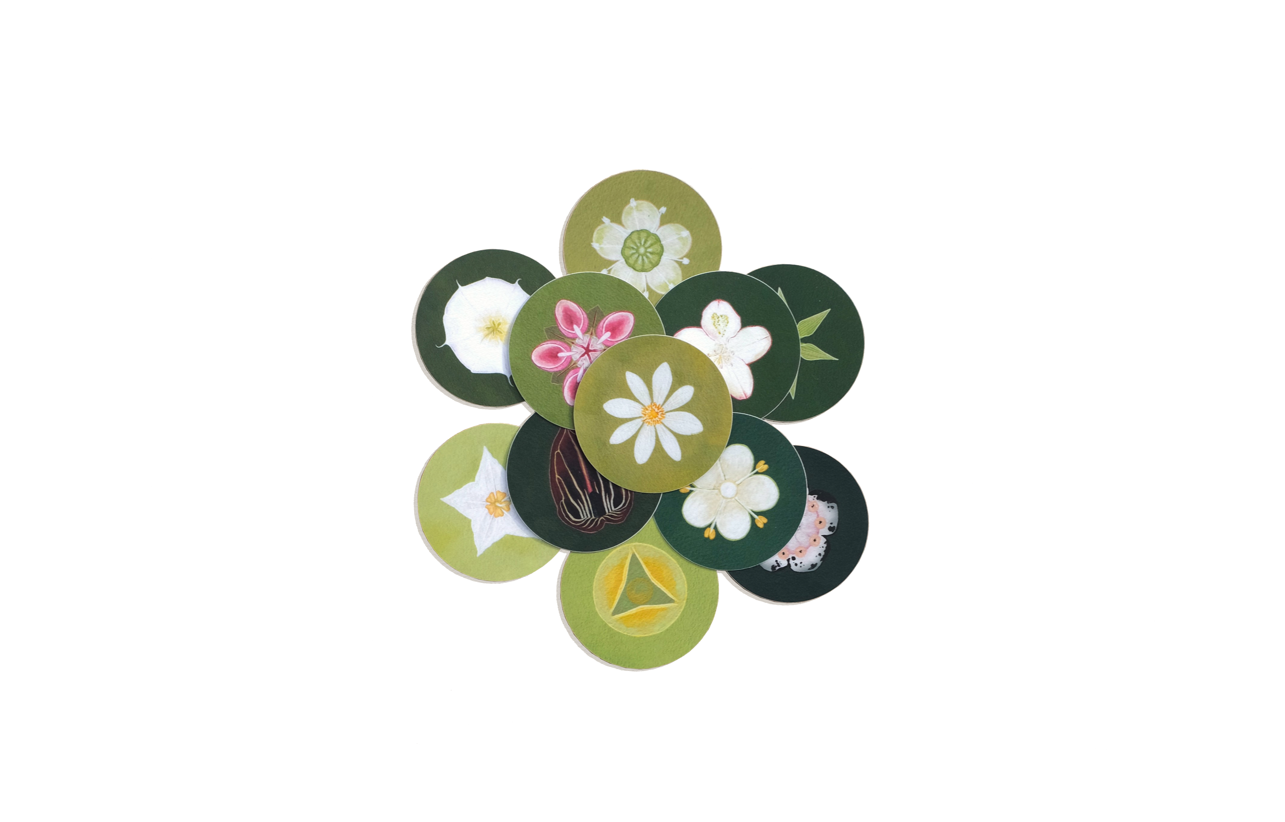 Build-Your-Own Flower Sticker Pack