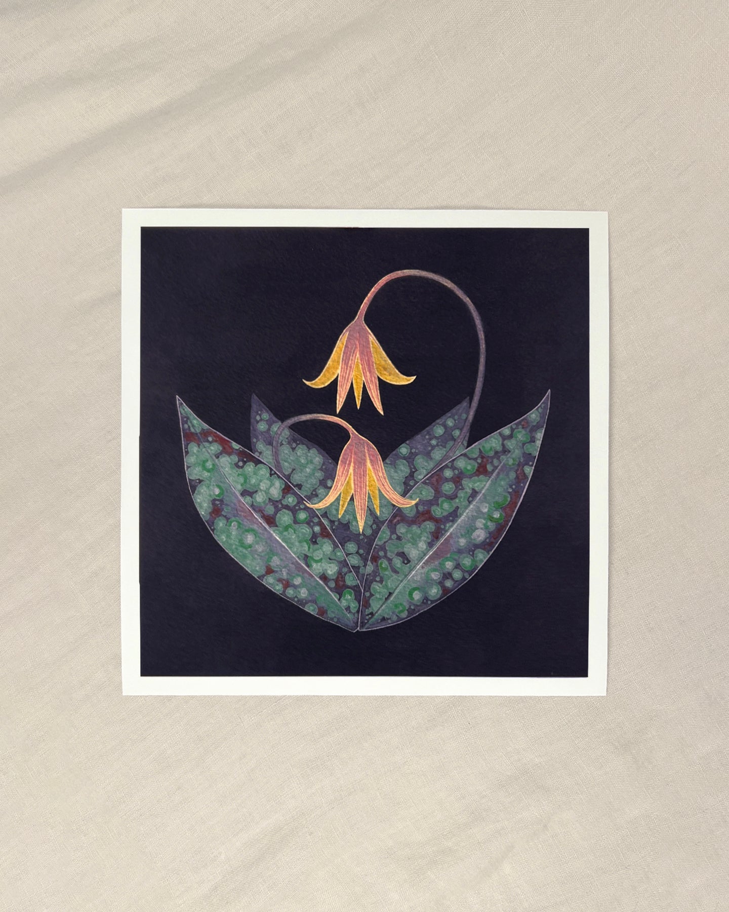 Trout Lily Giclée Print