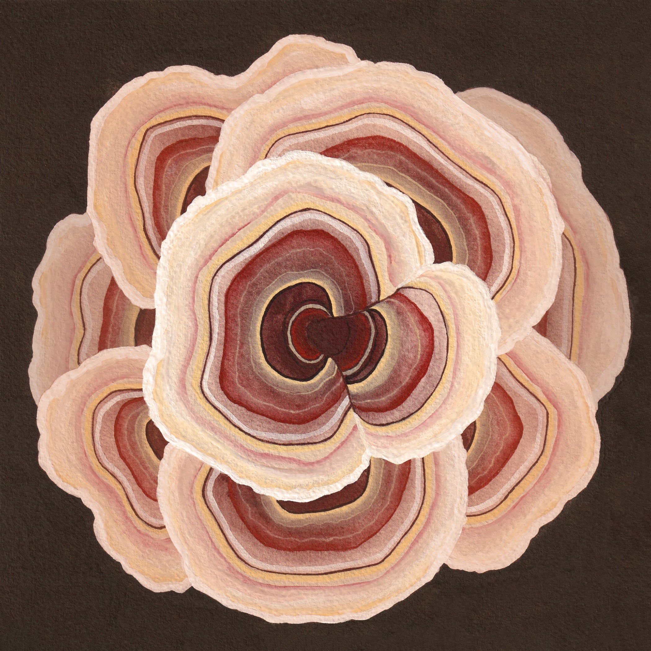 Turkey Tail Mushrooms Giclée Print